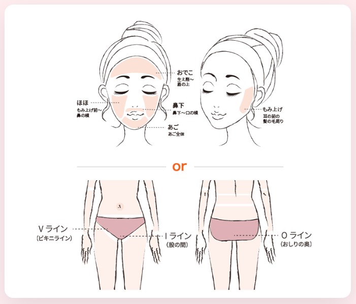 アドラーブルの顔＆VIO施術範囲